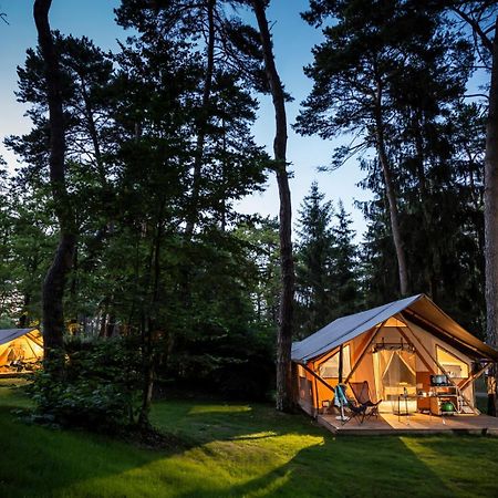 Отель Camping La Pinede Экссаневекс Экстерьер фото